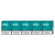 EVO Teal kartón